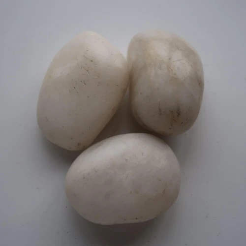 Natural Pebble Stones price