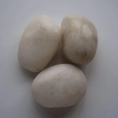 Batu Kerikil Alami