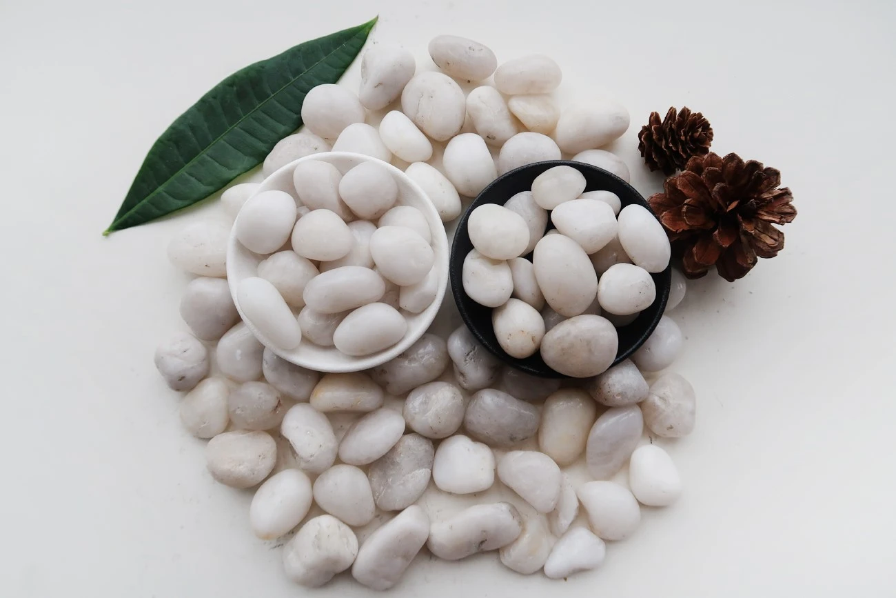 product-1300-867 product-1300-867